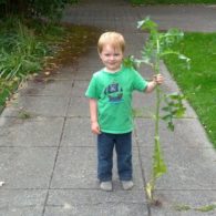 gardening for kids