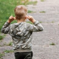 Washington political news for families blower