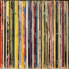 Sibling bonds and family connection