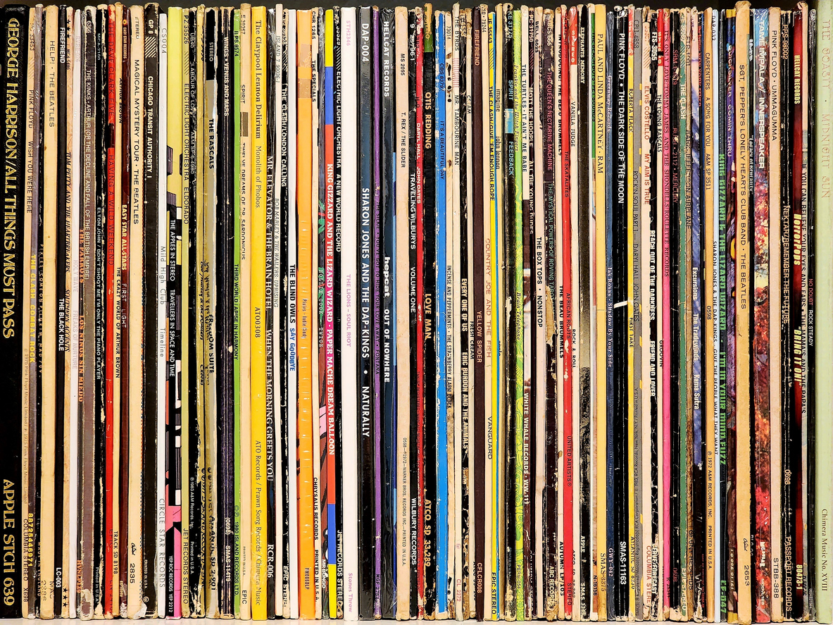 Sibling bonds and family connection