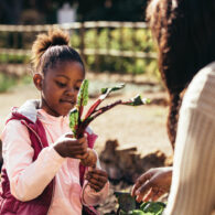 snag a seattle p-patch