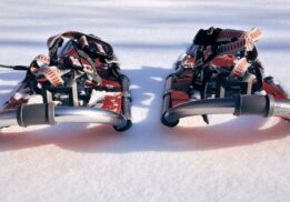 snowshoe