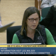 Washington online pornography age verification bill